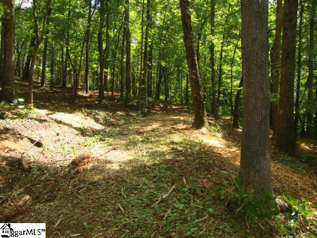 0 Hunnicutt Cove Road Seneca, SC 29672 - Photo 12 of 14 Gallery Image 12