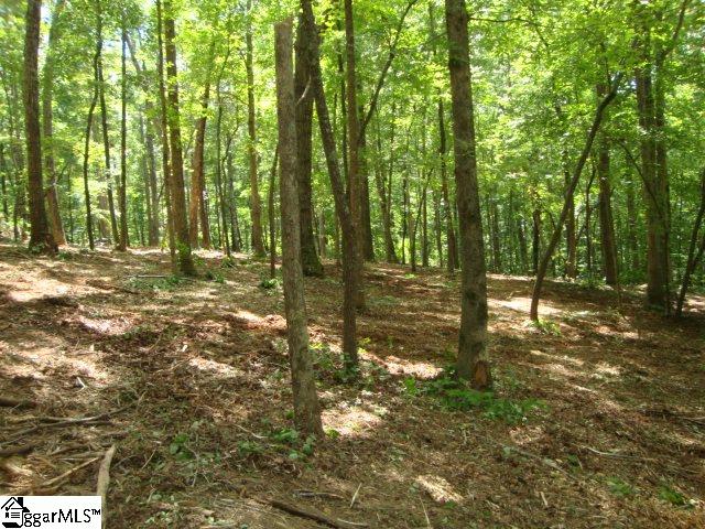 0 Hunnicutt Cove Road Seneca, SC 29672 - Photo 14 of 14 Gallery Image 14