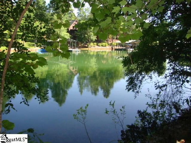 0 Hunnicutt Cove Road Seneca, SC 29672 - Photo 3 of 14 Gallery Image 3
