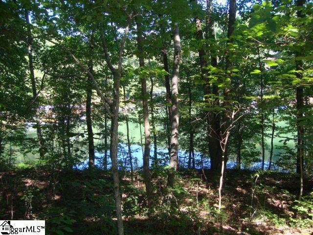 0 Hunnicutt Cove Road Seneca, SC 29672 - Photo 4 of 14 Gallery Image 4