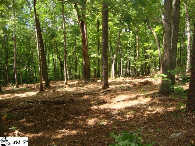 0 Hunnicutt Cove Road Seneca, SC 29672 - Photo 5 of 14 Gallery Image 5