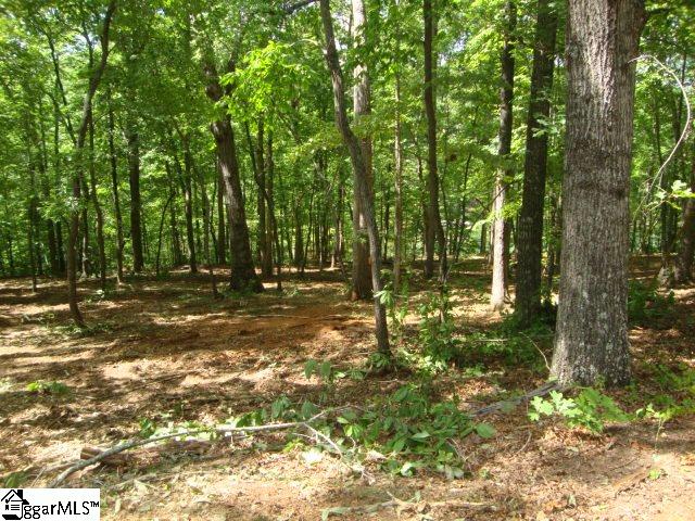 0 Hunnicutt Cove Road Seneca, SC 29672 - Photo 6 of 14 Gallery Image 6