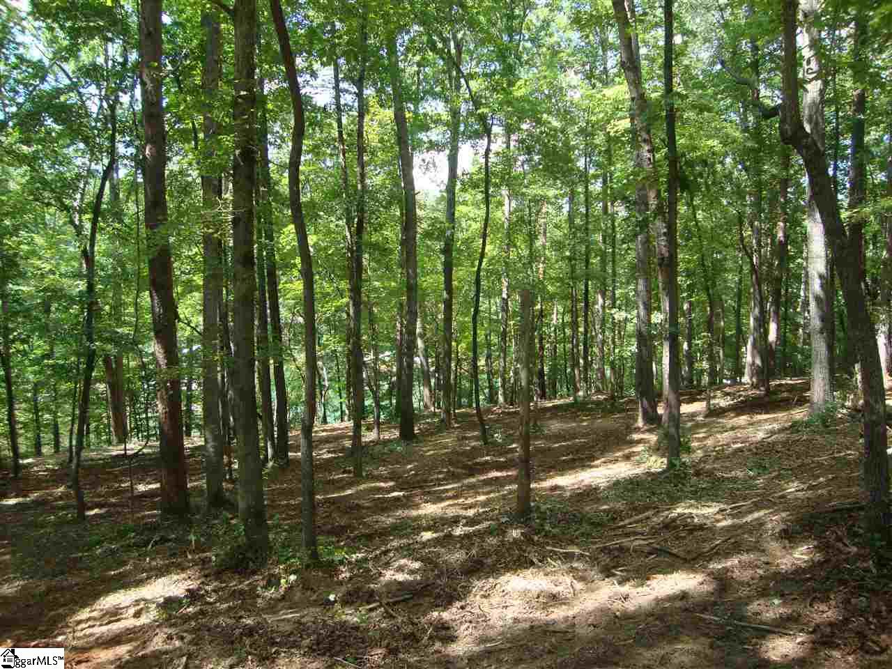 0 Hunnicutt Cove Road Seneca, SC 29672 - Photo 7 of 14 Gallery Image 7