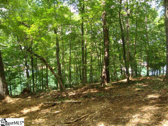 0 Hunnicutt Cove Road Seneca, SC 29672 - Photo 8 of 14 Gallery Image 8