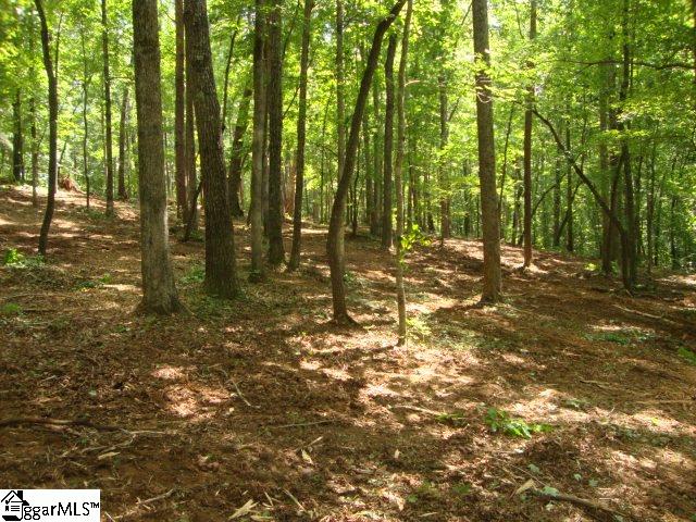 0 Hunnicutt Cove Road Seneca, SC 29672 - Photo 9 of 14 Gallery Image 9