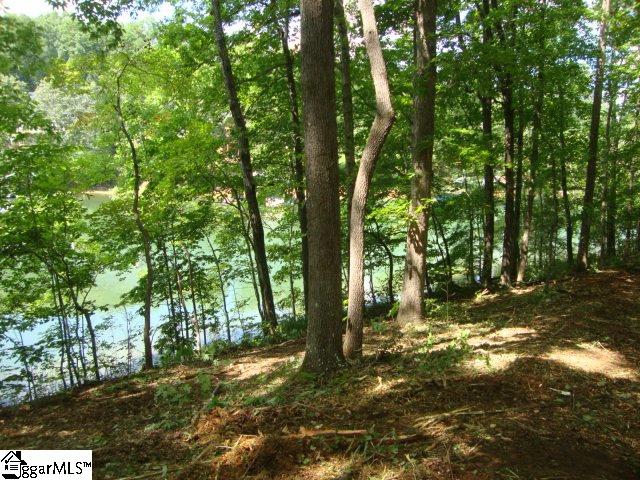 0 Hunnicutt Cove Road Seneca, SC 29672 - Photo 10 of 14 Gallery Image 10