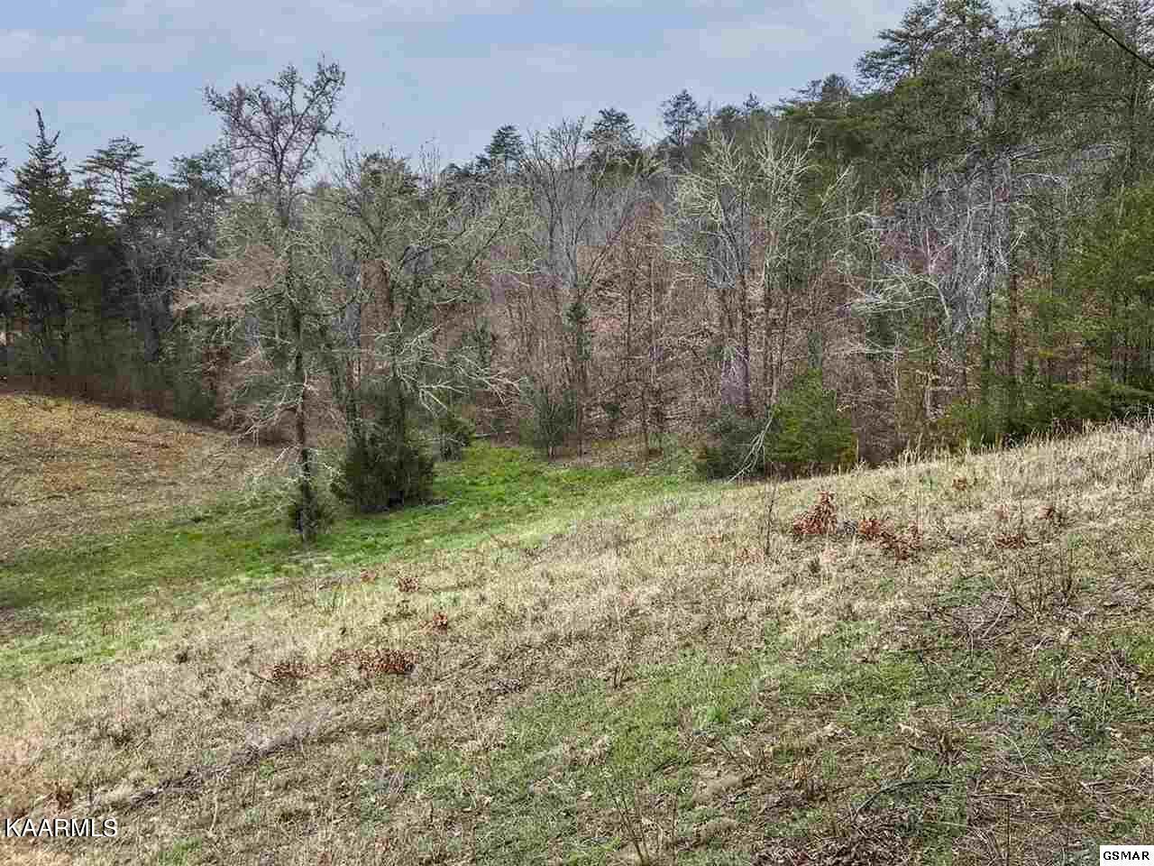 910 Debras Way Sevierville, TN 37876 - Photo 26 of 37 Debras Way 35