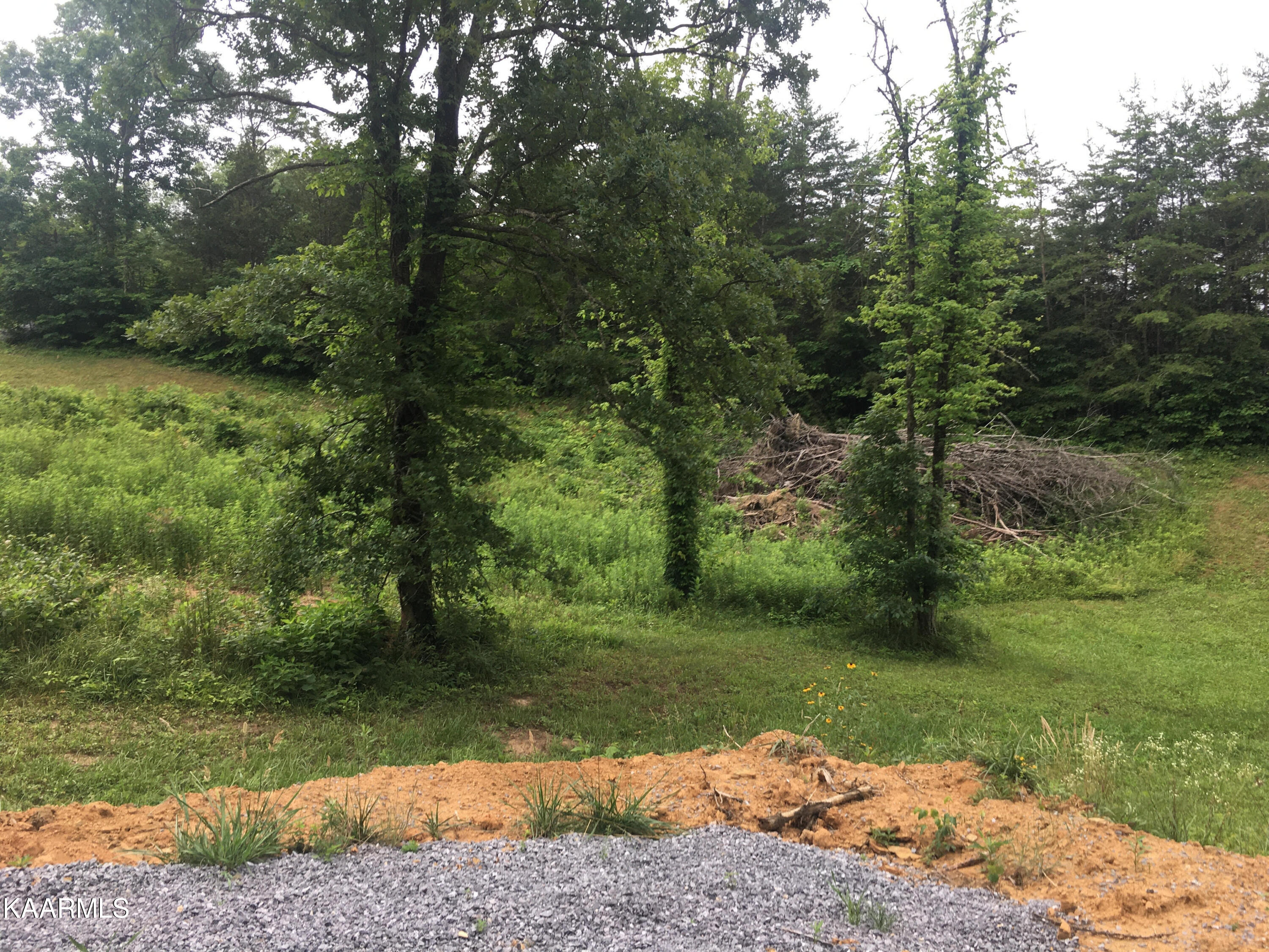 910 Debras Way Sevierville, TN 37876 - Photo 31 of 37 unnamed (4)