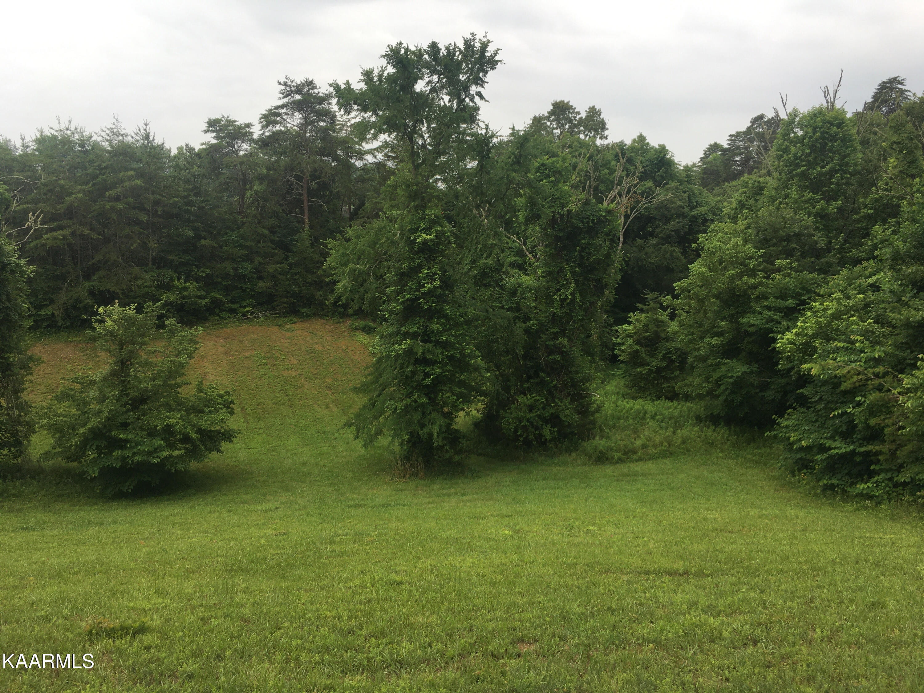 910 Debras Way Sevierville, TN 37876 - Photo 5 of 37 unnamed (12)