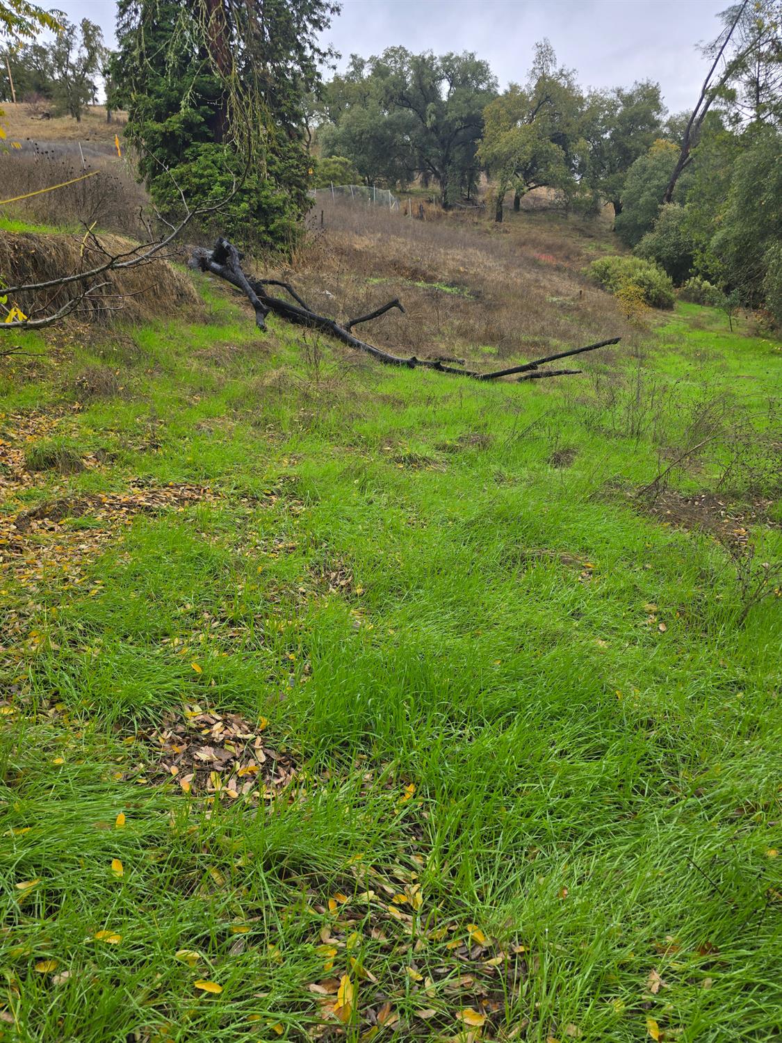 0 South 49th Highway Jackson, CA 95642 - Photo 16 of 17 a view of an outdoor space with a lake view