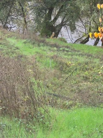 a view of outdoor space and yard