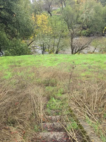 a view of a field with trees in the background
