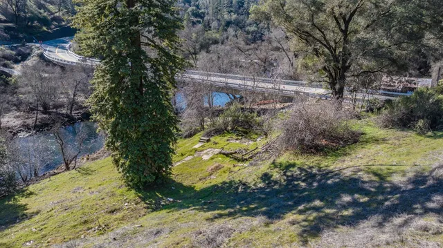 a view of a yard with plants and trees