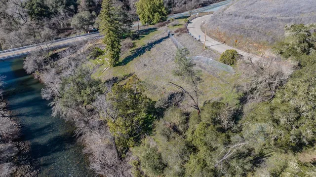 a view of a yard with a plant