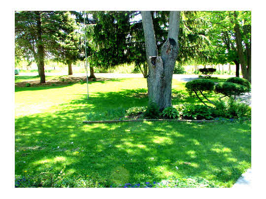 6911 Halley Road Rockford, IL 61101 - Photo 3 of 11 a view of yard with green space