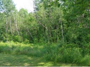 0 Pollard Road, Unit 291 2 Lincoln, NH 03251 - Photo 4 of 5 Gallery Image 4