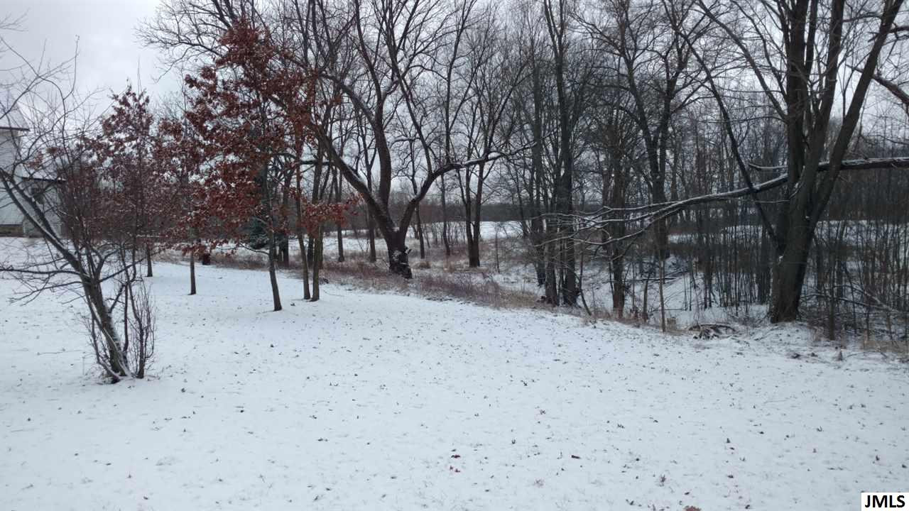 9520 Townley Road Springport, MI 49284 - Photo 34 of 36 Photo 34
