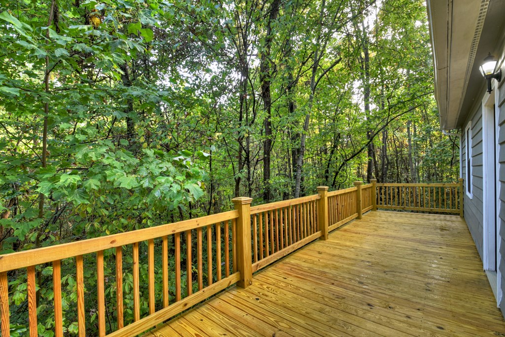 205 Spring Road Blairsville, GA 30512 - Photo 23 of 29 Gallery Image 23