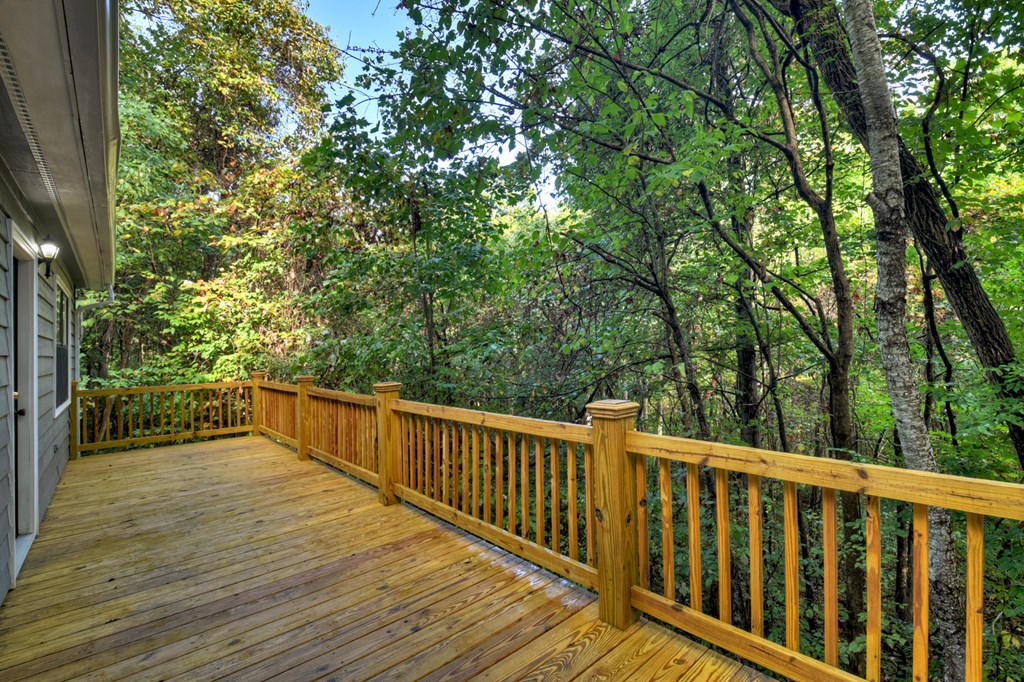 205 Spring Road Blairsville, GA 30512 - Photo 3 of 29 Gallery Image 3