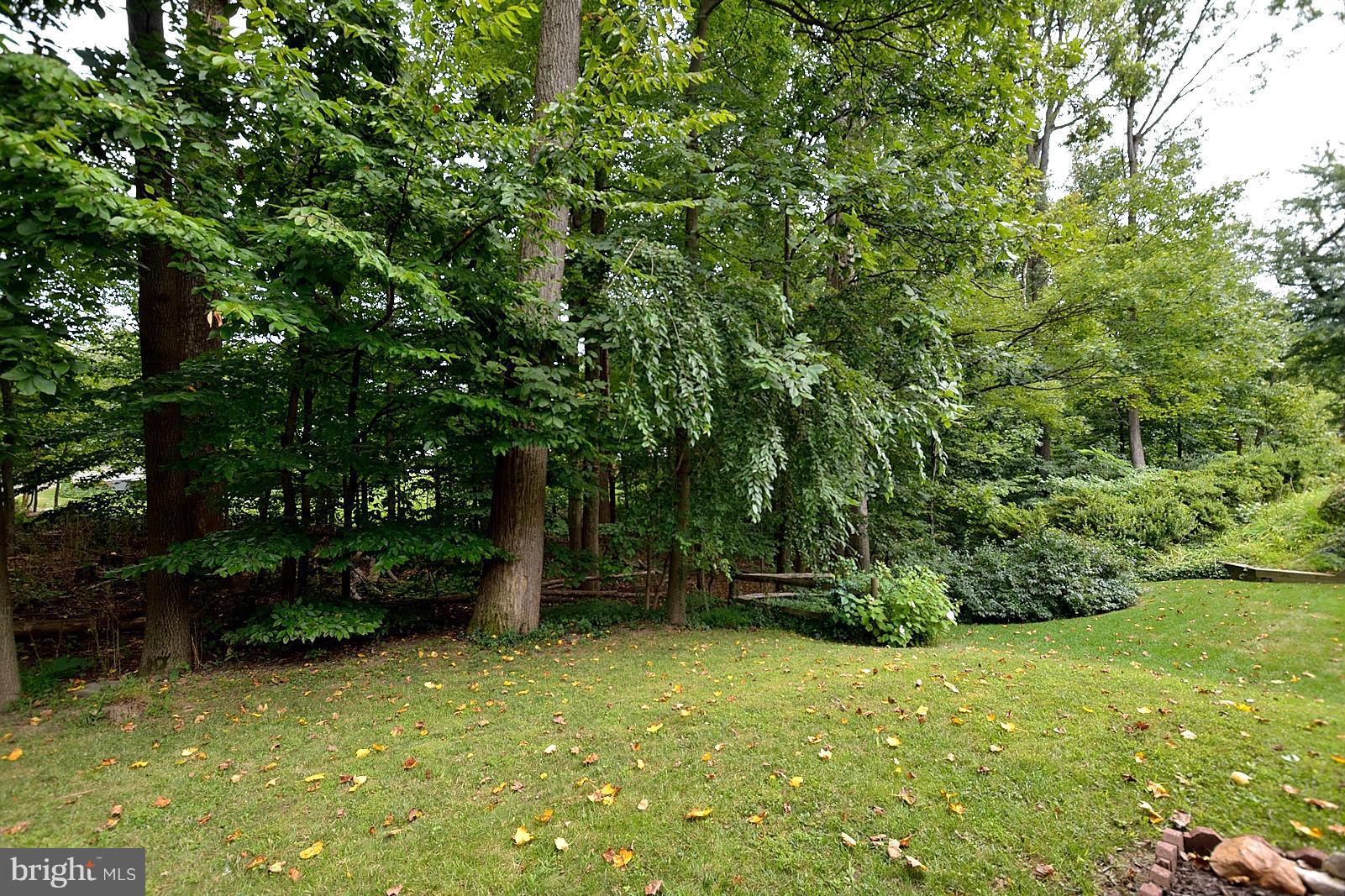 8003 Langbrook Road Springfield, VA 22152 - Photo 14 of 25 View