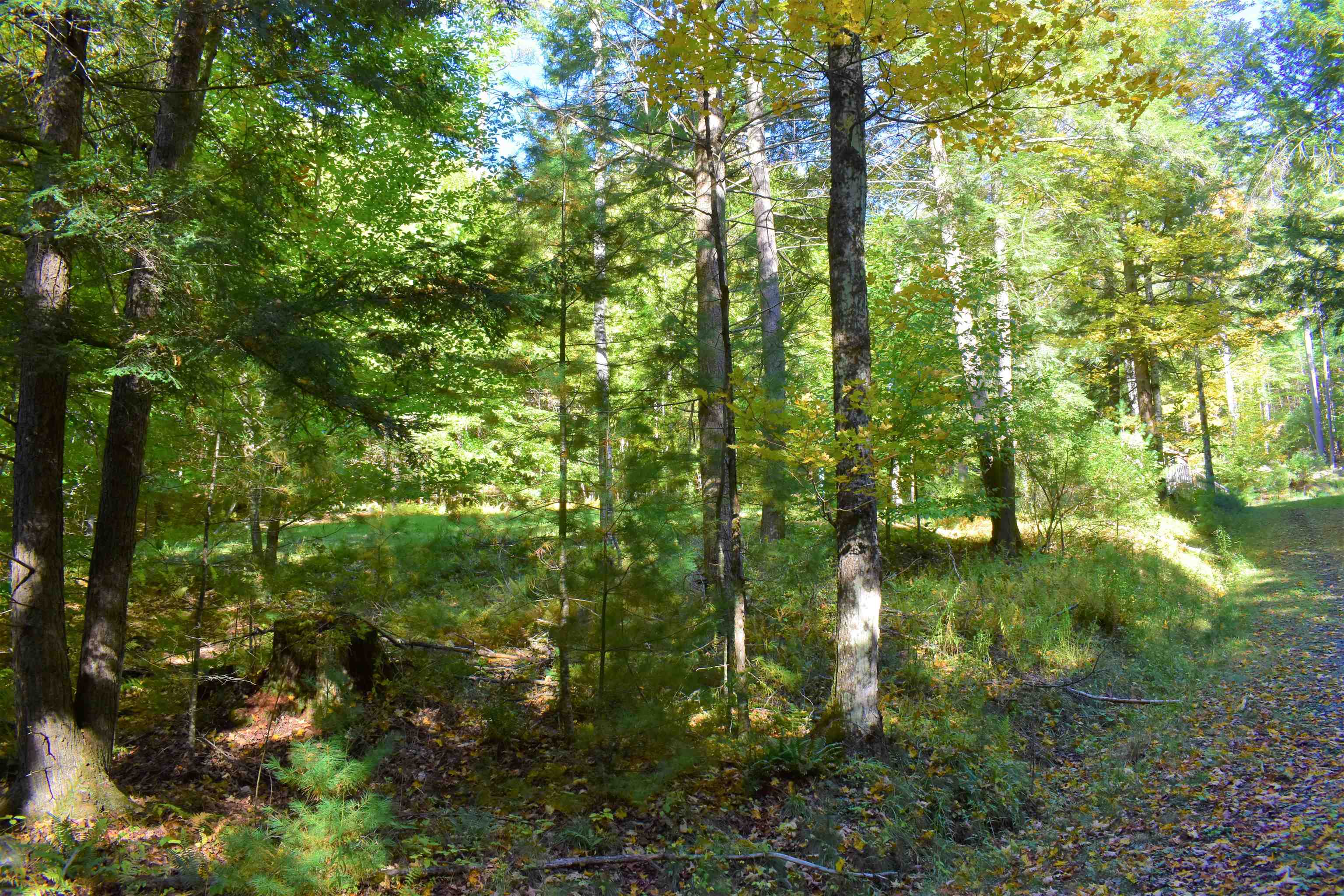 1348 5 Corners Road Thetford, VT 05075 - Photo 11 of 15 Gallery Image 11