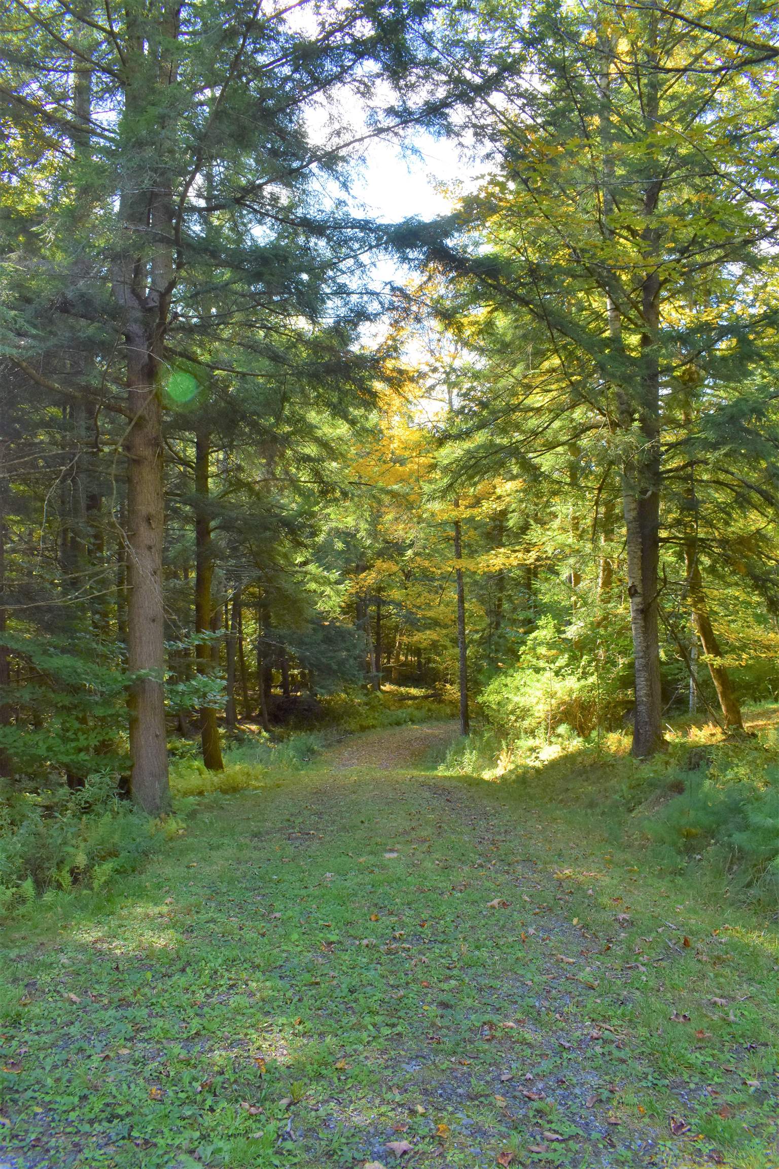 1348 5 Corners Road Thetford, VT 05075 - Photo 6 of 15 Gallery Image 6