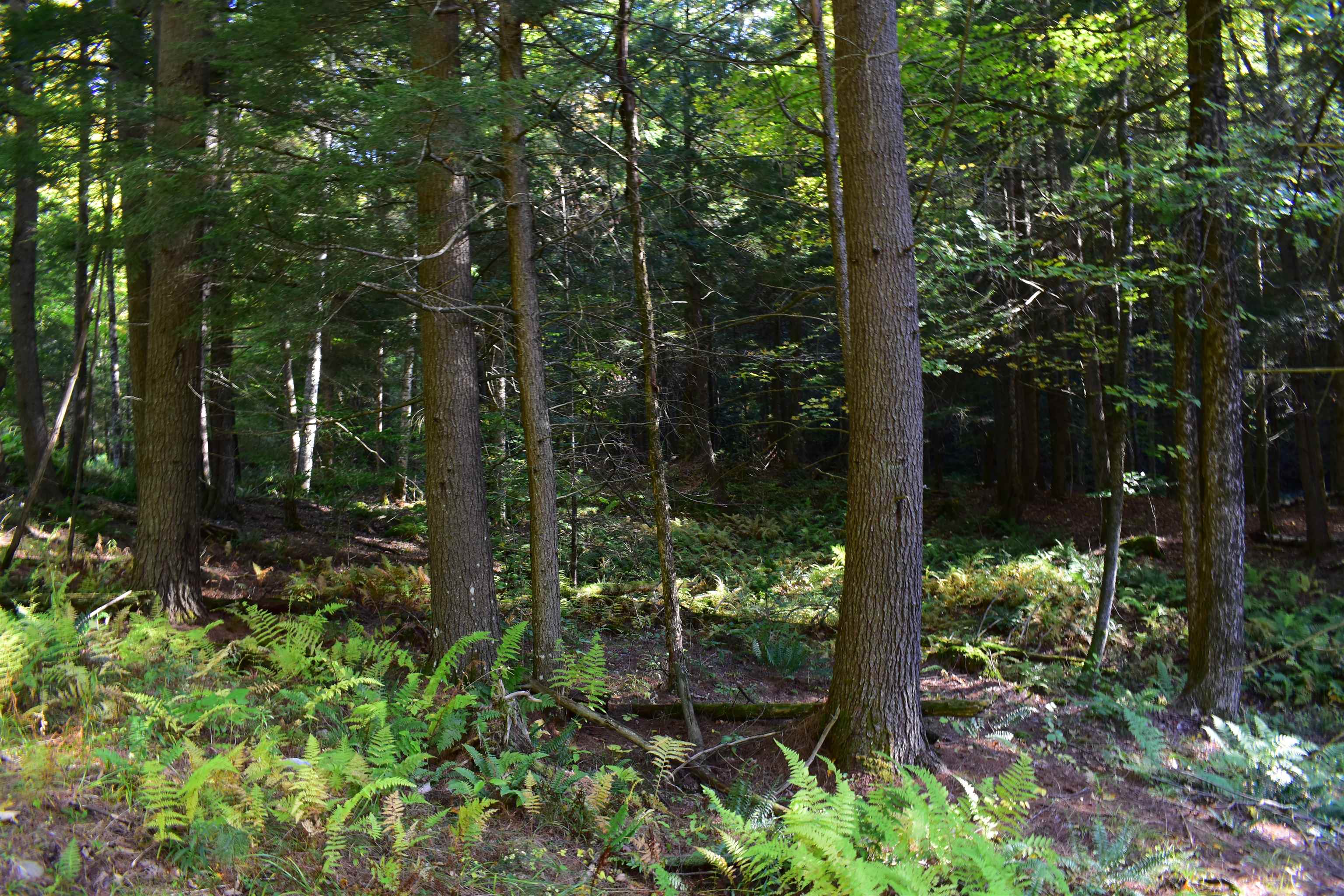 1348 5 Corners Road Thetford, VT 05075 - Photo 7 of 15 Gallery Image 7
