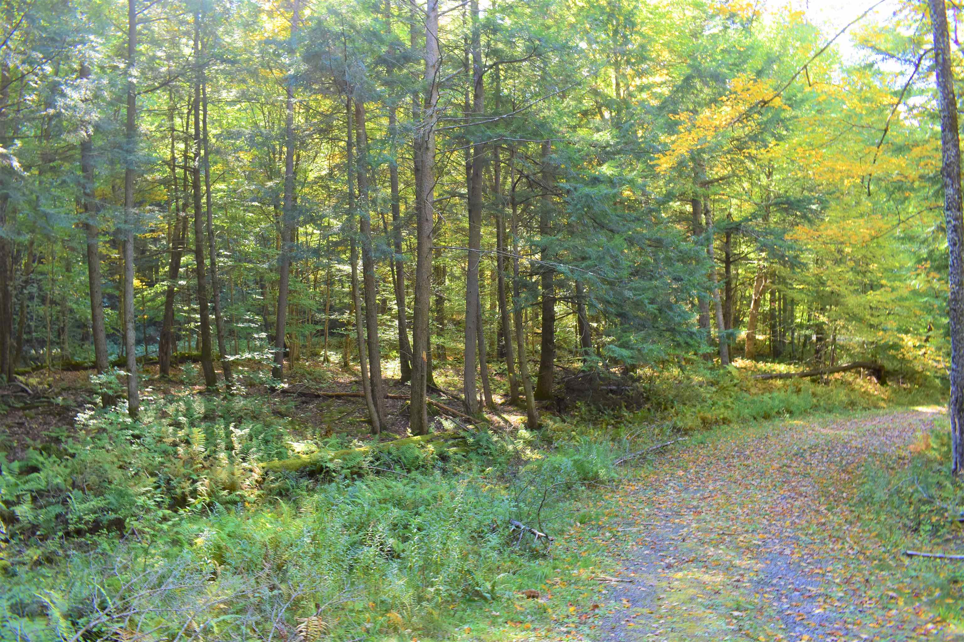1348 5 Corners Road Thetford, VT 05075 - Photo 9 of 15 Gallery Image 9