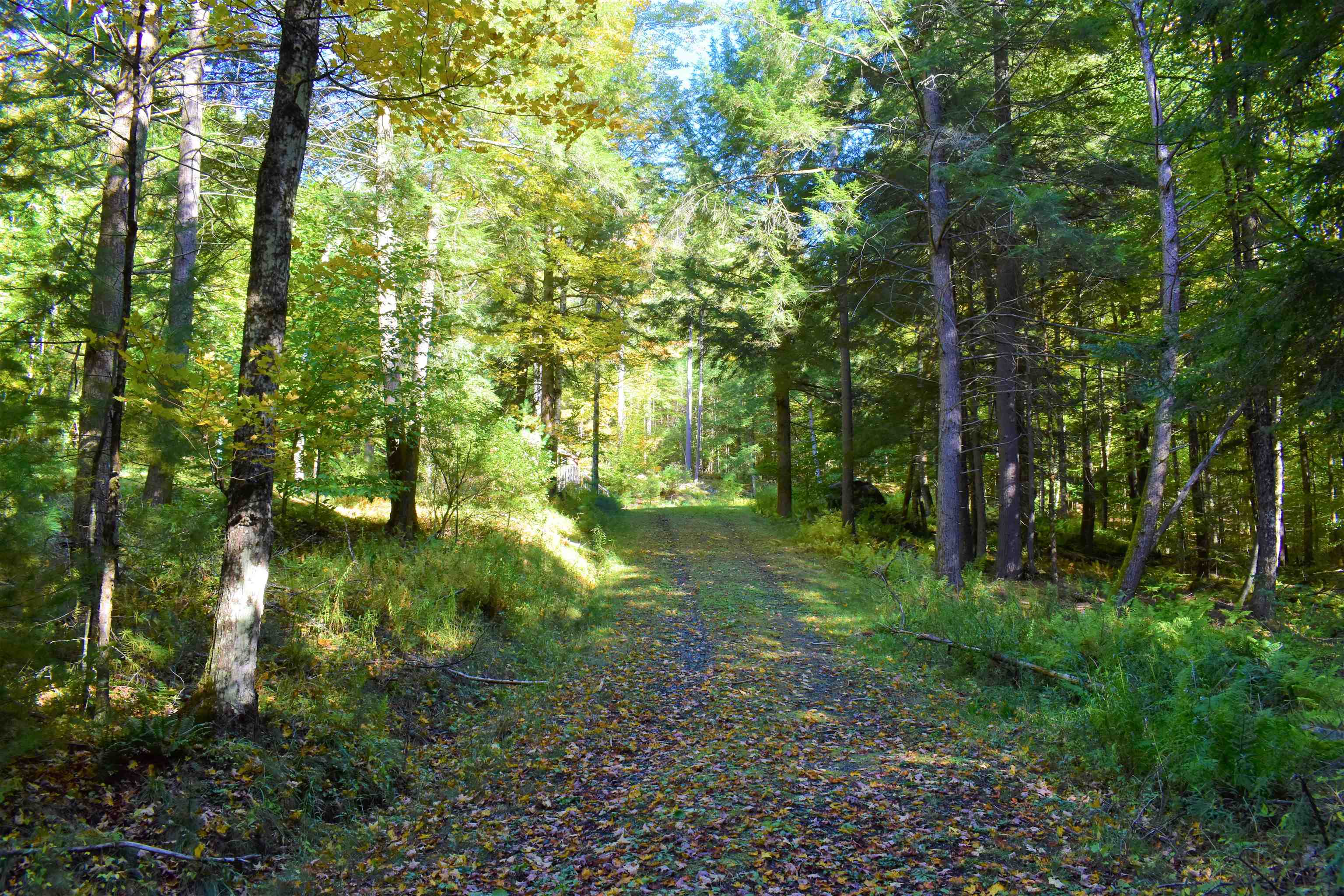 1348 5 Corners Road Thetford, VT 05075 - Photo 10 of 15 Gallery Image 10