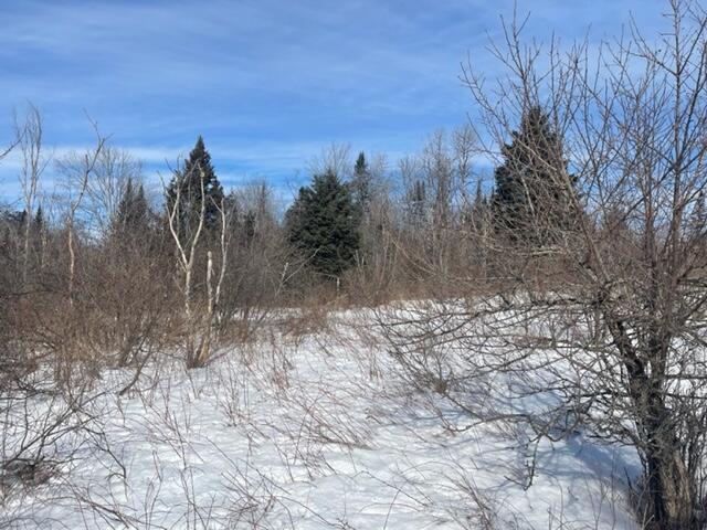 0 Wellington Road Harmony, ME 04942 - Photo 5 of 5 IMG_4509