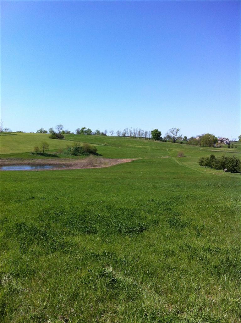3748 Wades Mill Road Winchester, KY 40391 - Photo 3 of 10 Photo 3