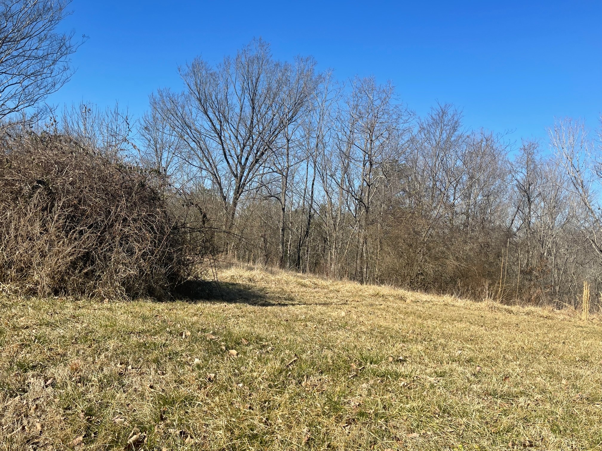 0 Bazzie Dock Road Dover, TN 37058 - Photo 3 of 7 Gallery Image 3