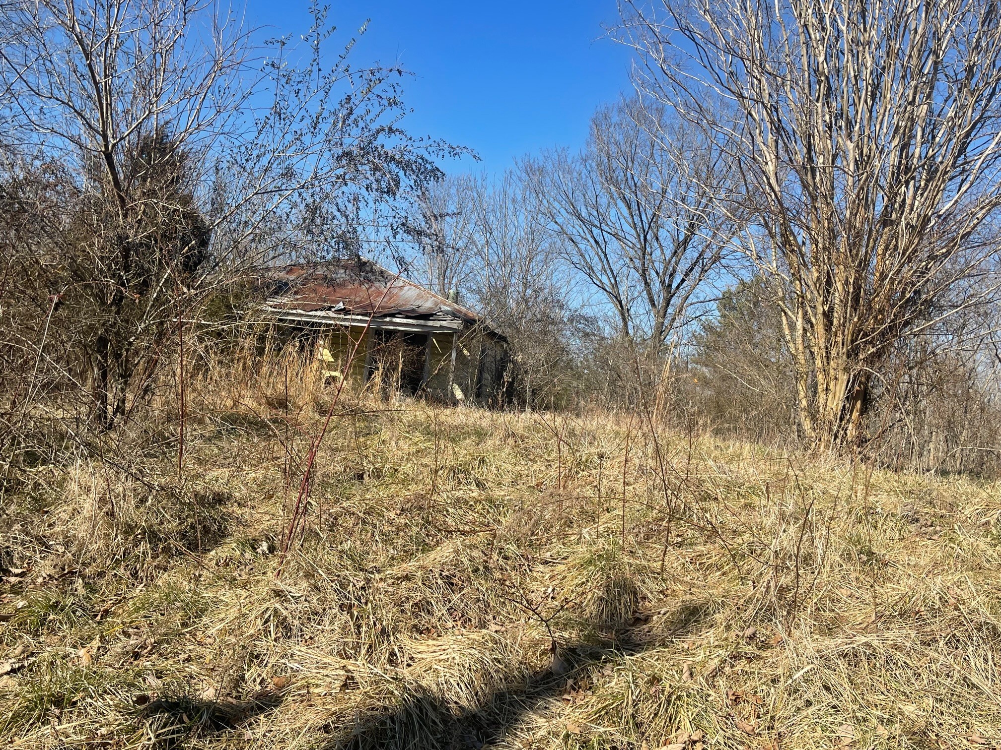 0 Bazzie Dock Road Dover, TN 37058 - Photo 4 of 7 Gallery Image 4
