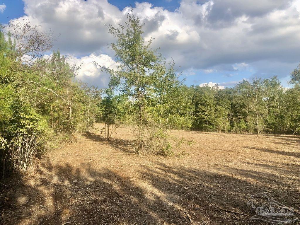 Lot 11-bs Buffalo Ridge Road Pace, FL 32571 - Photo 8 of 18