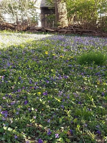 $225,000 | 2101 Northeast 62nd Street, Kansas City, MO 64118