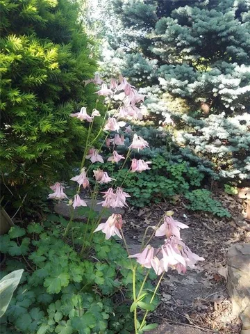 $225,000 | 2101 Northeast 62nd Street, Kansas City, MO 64118