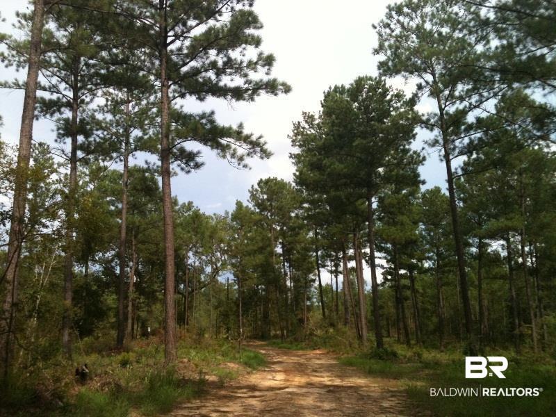 0 Lott Road Citronelle, AL 36522 - Photo 4 of 10