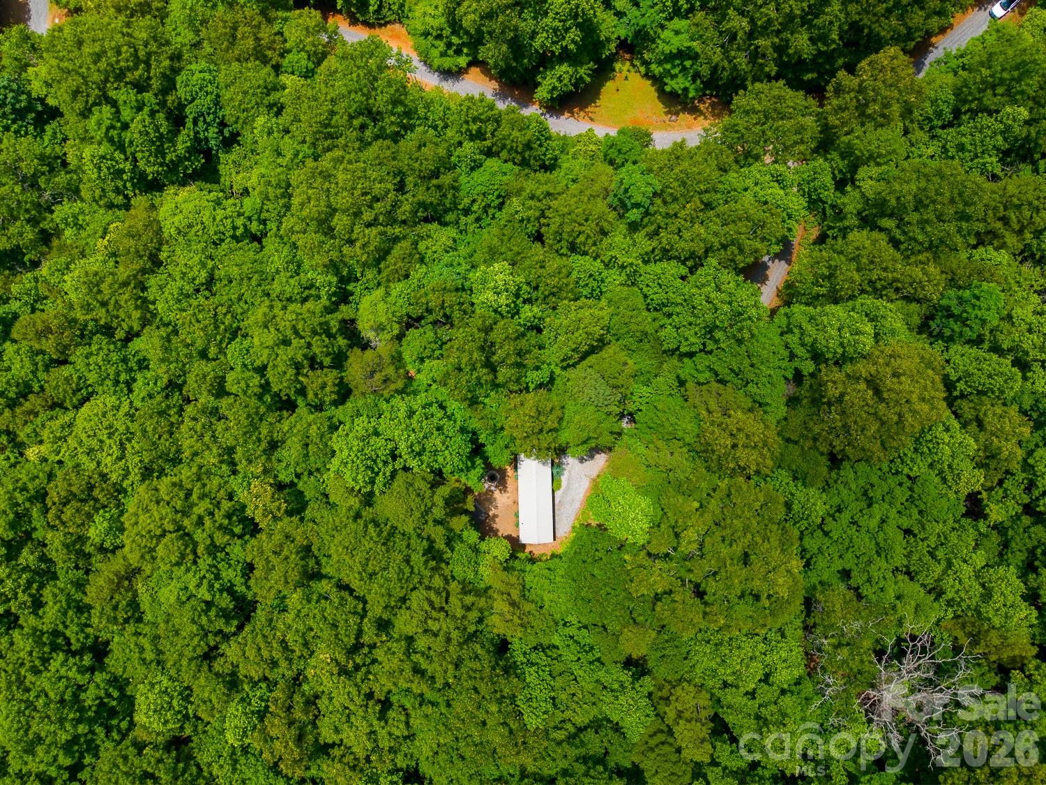 243 Jonquil Wds Road Franklin, NC 28734 - Photo 45 of 48