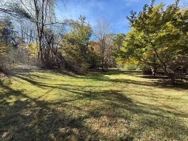 a view of a yard with plants and large trees