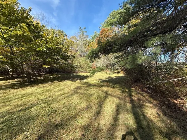 a view of yard with large tree
