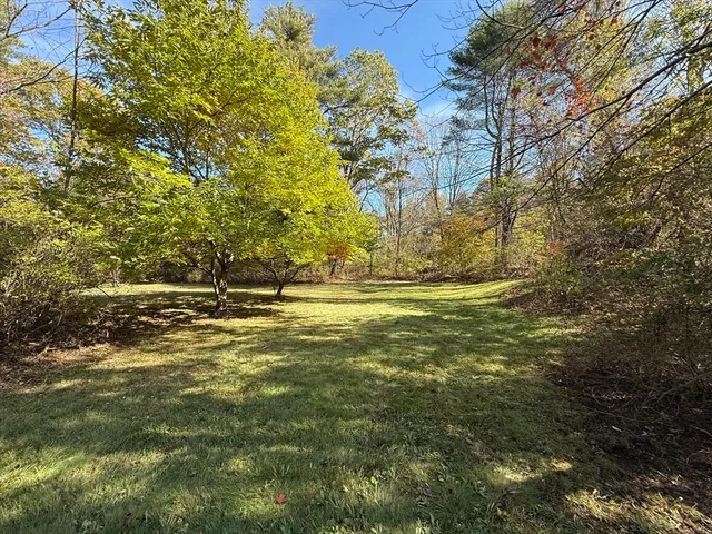 a view of outdoor space and yard