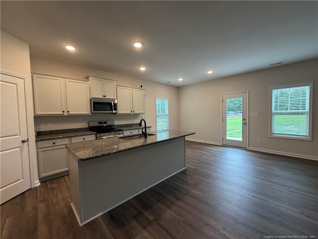 4075 Blue Springs Road Red Springs, NC 28377 - Photo 3 of 28 Photo 3