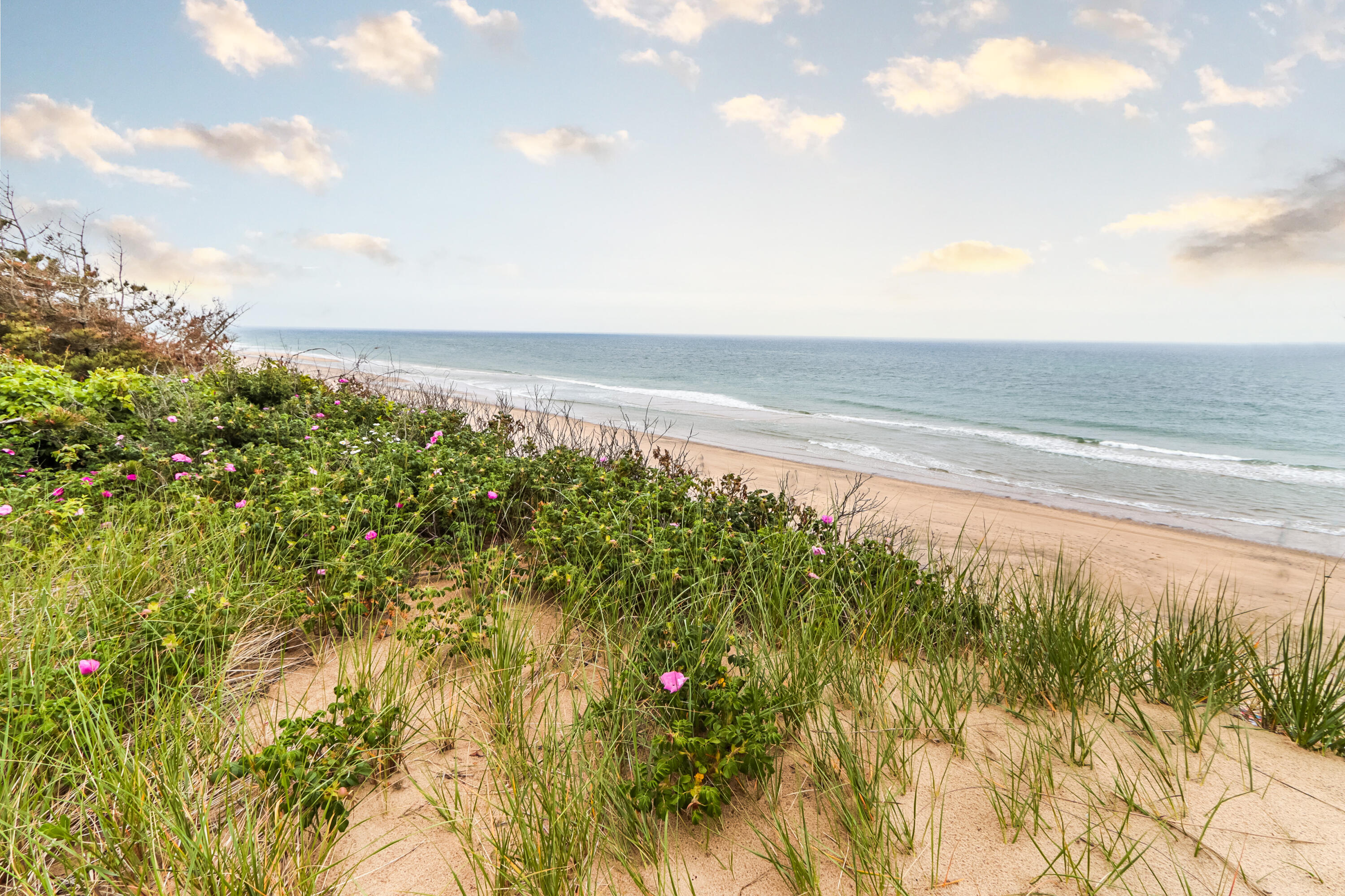 440 Nellie Road Wellfleet, MA 02667 - Photo 21 of 22 a view of an ocean and a beach