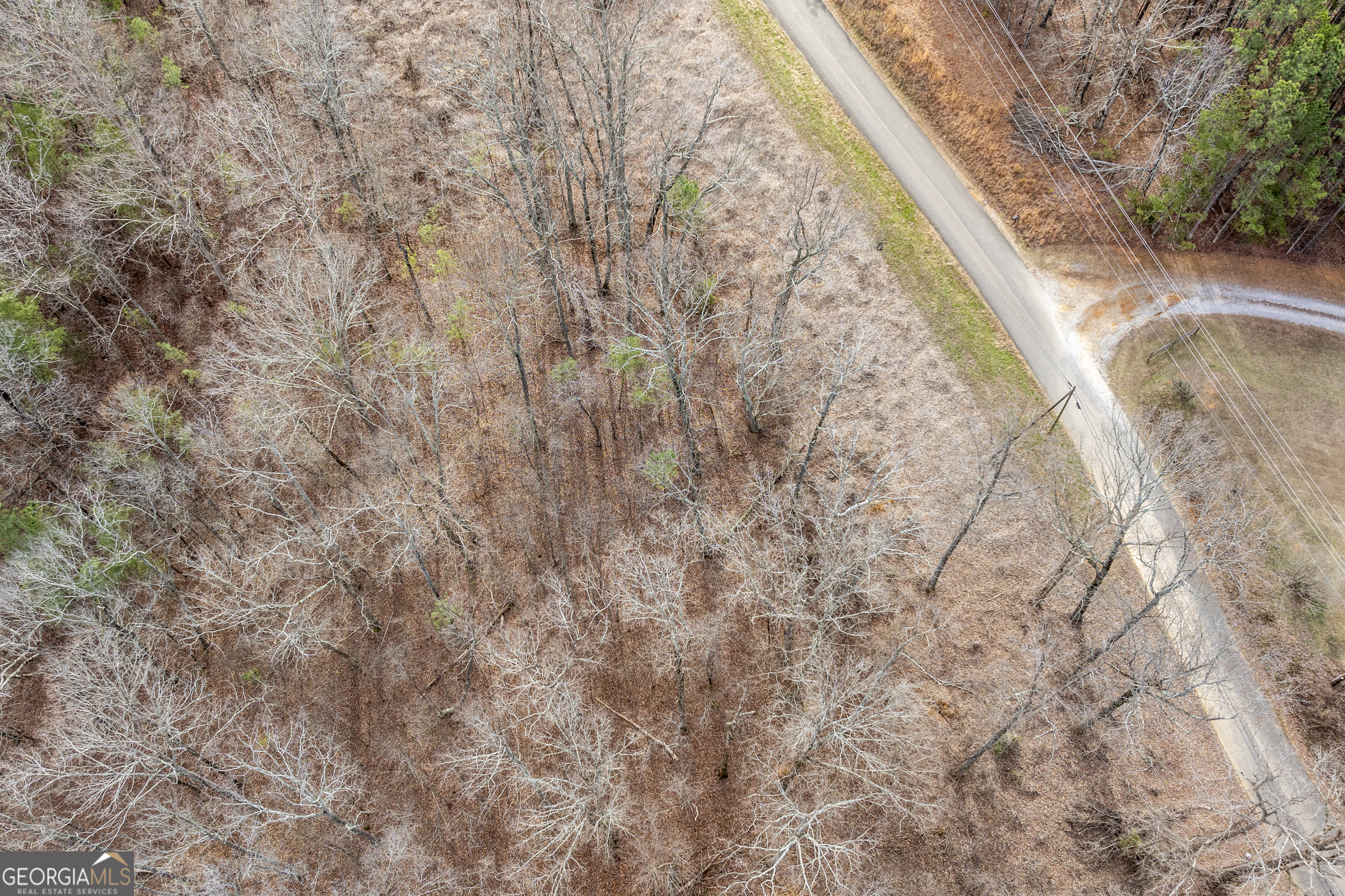 0 Cowart Mountain Road Jasper, GA 30143 - Photo 11 of 11