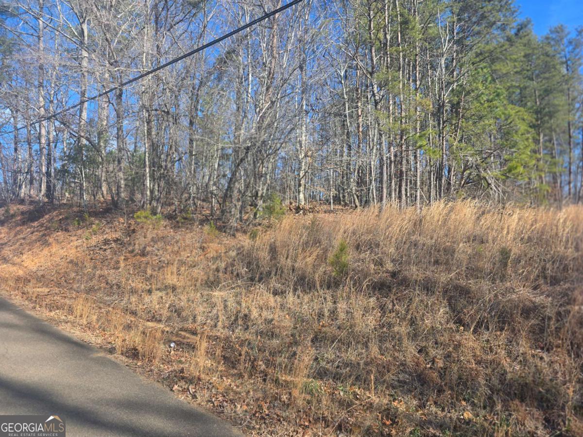 0 Cowart Mountain Road Jasper, GA 30143 - Photo 3 of 11