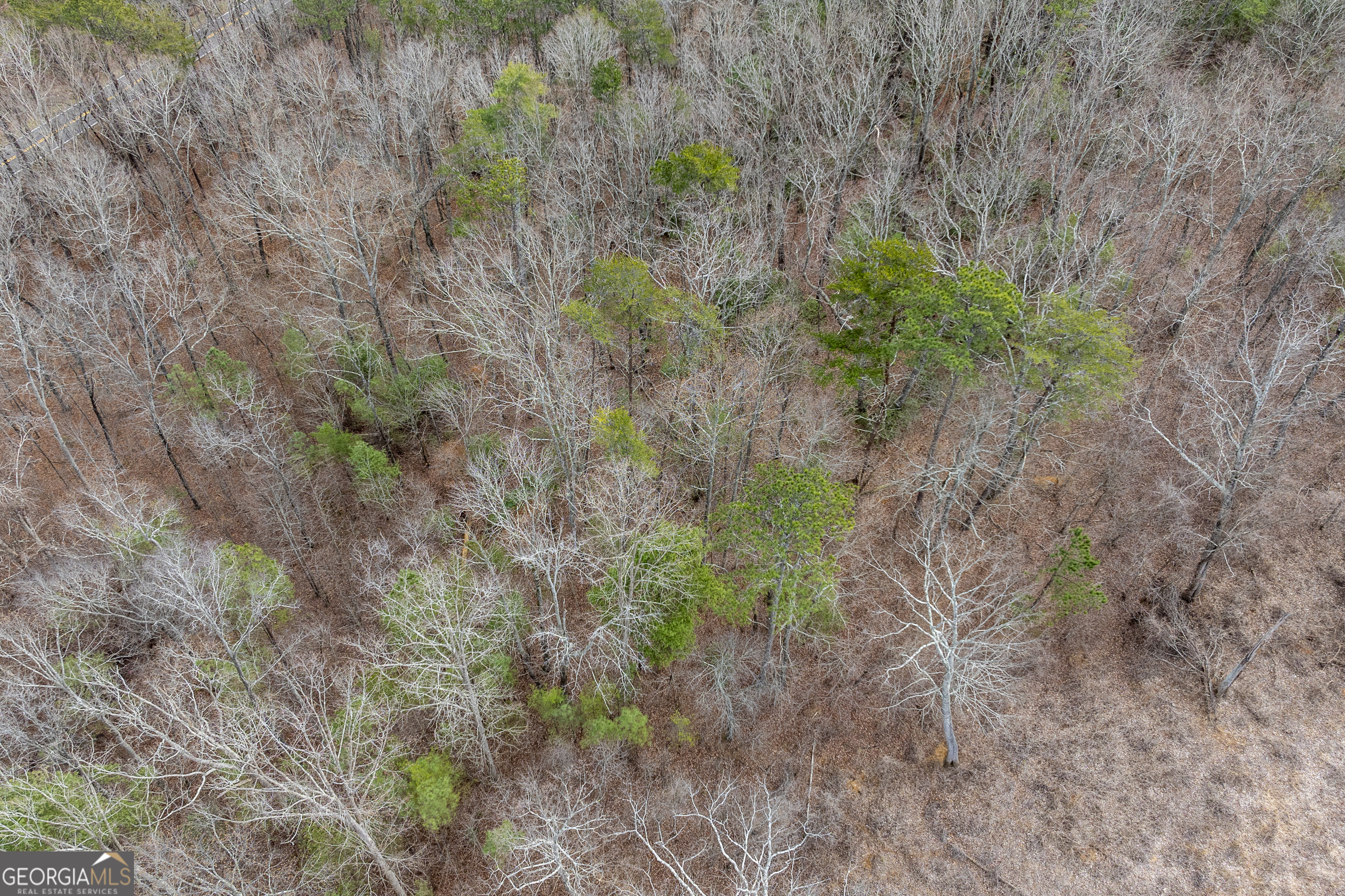 0 Cowart Mountain Road Jasper, GA 30143 - Photo 6 of 11