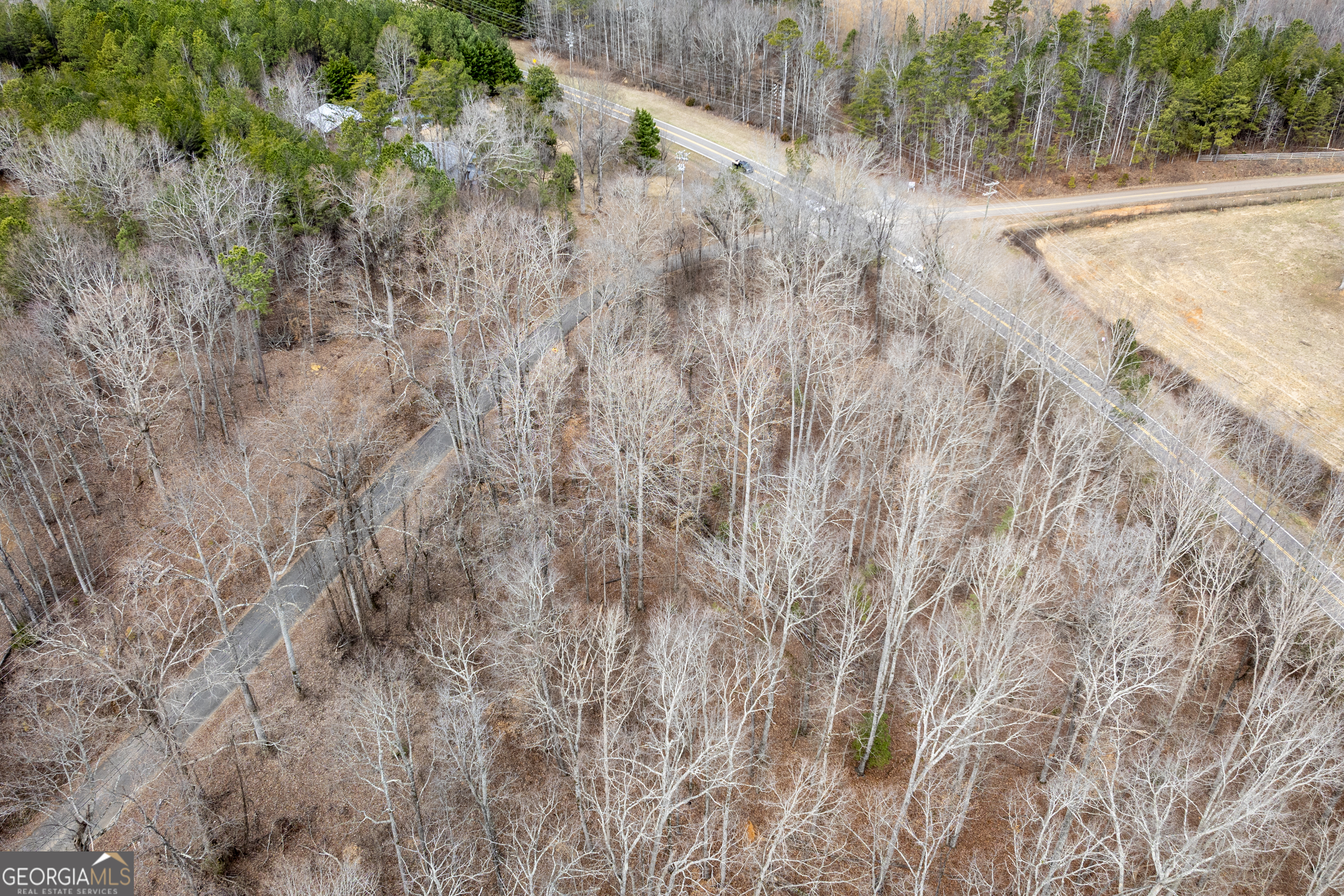 0 Cowart Mountain Road Jasper, GA 30143 - Photo 8 of 11