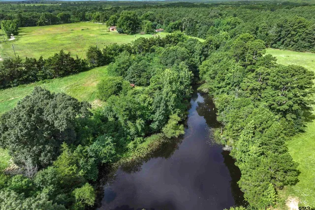a view of a green yard with a small yard
