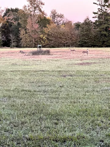 a view of park with trees