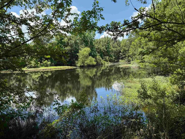 a view of a yard and basketball court